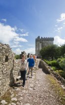 Blarney Castle Tour from Dublin