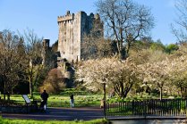 Blarney Castle Tour from Dublin